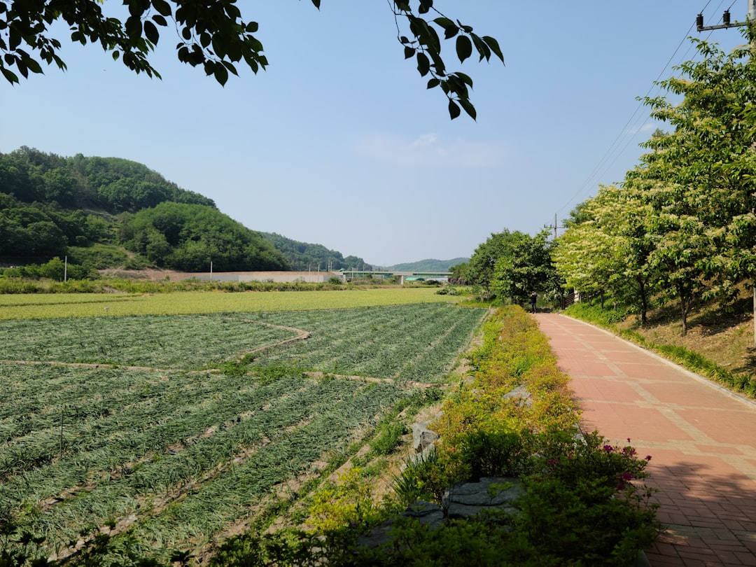 귀농 참고 이미지 2